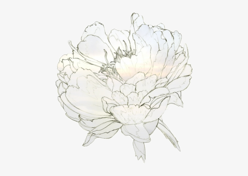 Ornate Gold Frame Vector - Drawing, transparent png #1681595