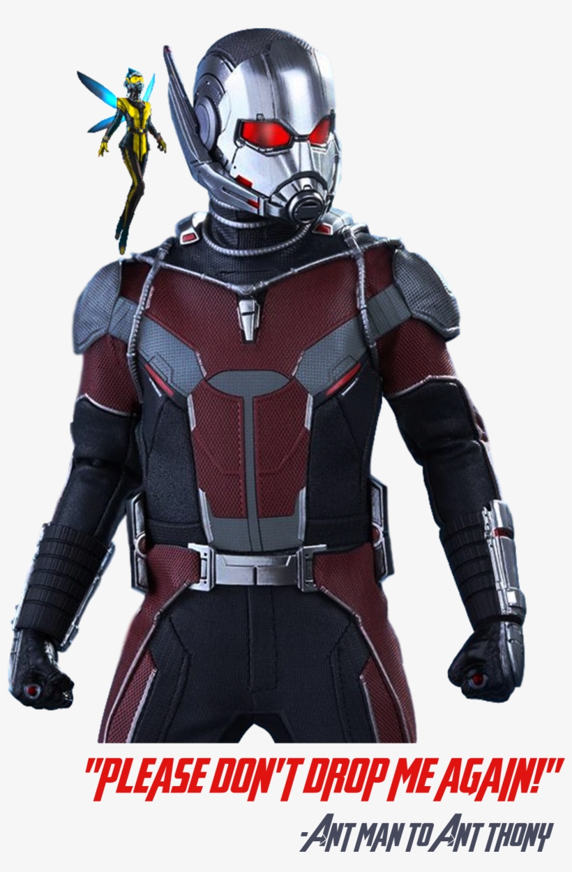 Ant-man And The Wasp Cartoon T Shirts, Cat Shirts, - Captain America Civil War Movie Masterpiece Action, transparent png #1686114