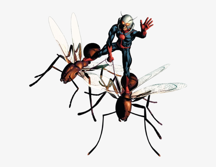 Ant-man Well, Back To Sucking Again - Ant Man En Png, transparent png #1686196