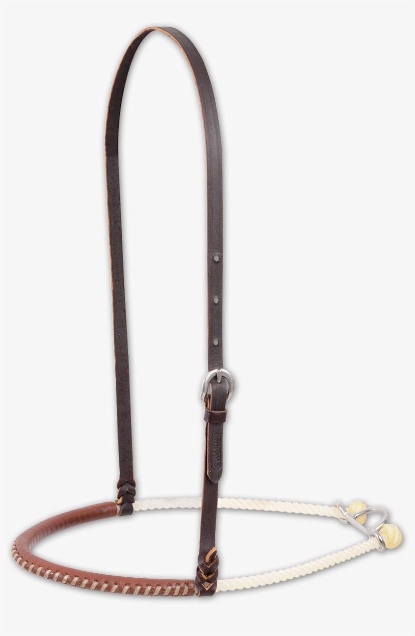 Noseband, transparent png #1688644