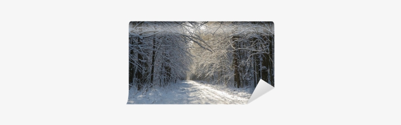 Snow Bridge, transparent png #1688806