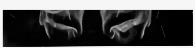 We All Have Been Waiting Long Enough And The Day Has - Monochrome, transparent png #1688846