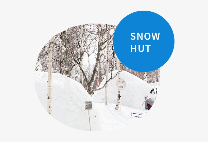The Huts Are Tiny Houses Made Out Of Snow, Surprisingly - Tree, transparent png #1688874
