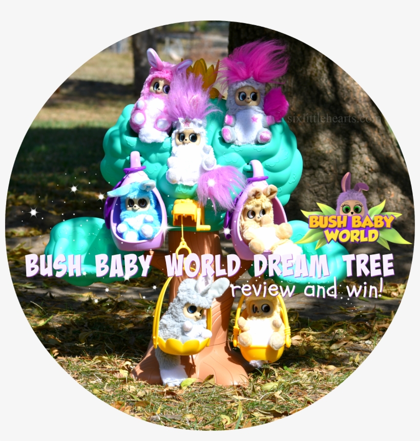 Jasnor Bush Baby World Dream Tree Review And A Bush, transparent png #1689888