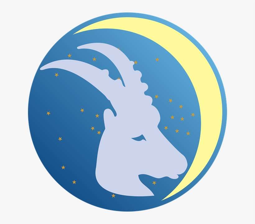 Zodiac - Capricorn - Zodiac Sign For January 3, transparent png #1690369