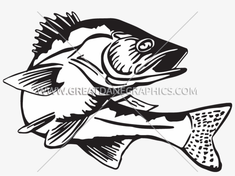 Production Ready Artwork For - Walleye Fish Black And White, transparent png #1690665