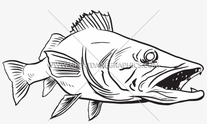 Graphic Freeuse Production Ready Artwork For T Shirt - Wall Eye Fish Drawing, transparent png #1690750