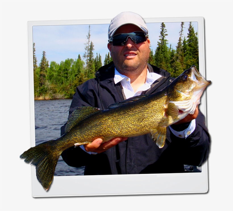 Walleye Tips, Baits & Lures - Pull Fish Out Of Water, transparent png #1690771