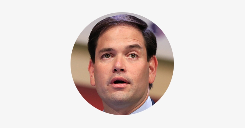 Rubio - Plate, transparent png #1691043