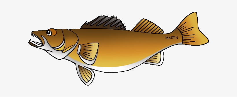 Minnesota State Fish - Walleye, transparent png #1691691