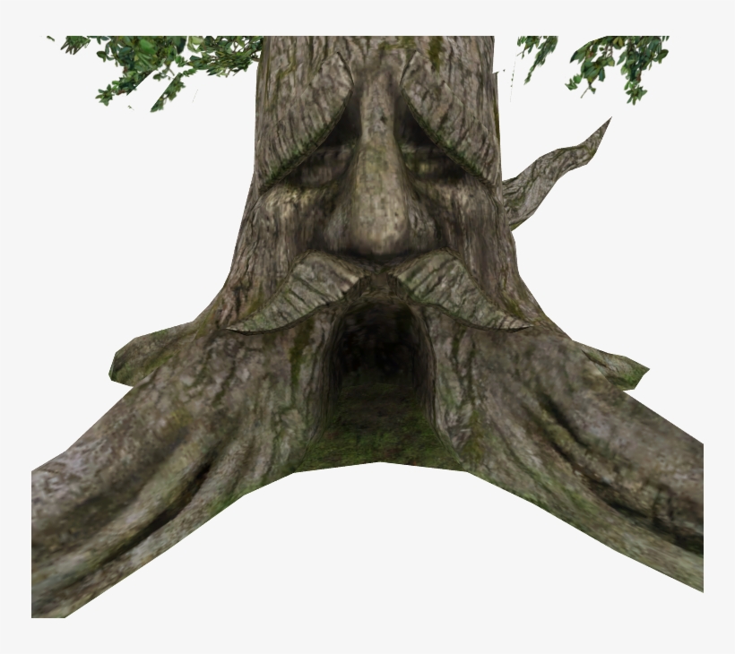 Download Zip Archive - Great Deku Tree Hyrule Warriors, transparent png #1691807