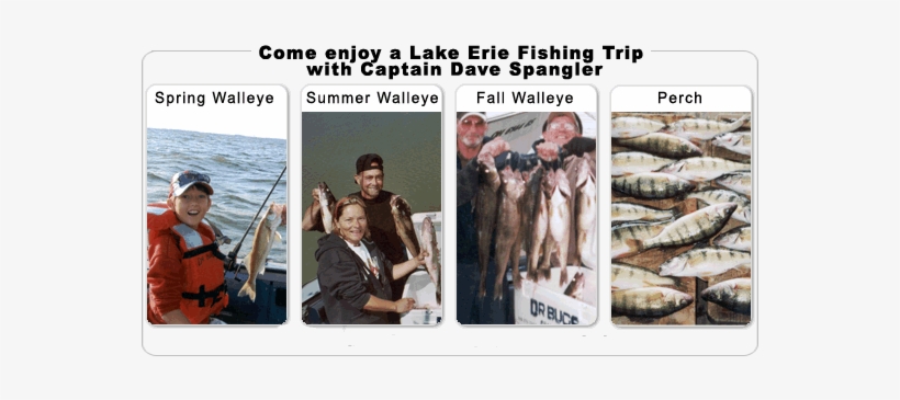Come Enjoy A Lake Erie Charter Fishing Trip For Walleye - Lake Erie, transparent png #1692019