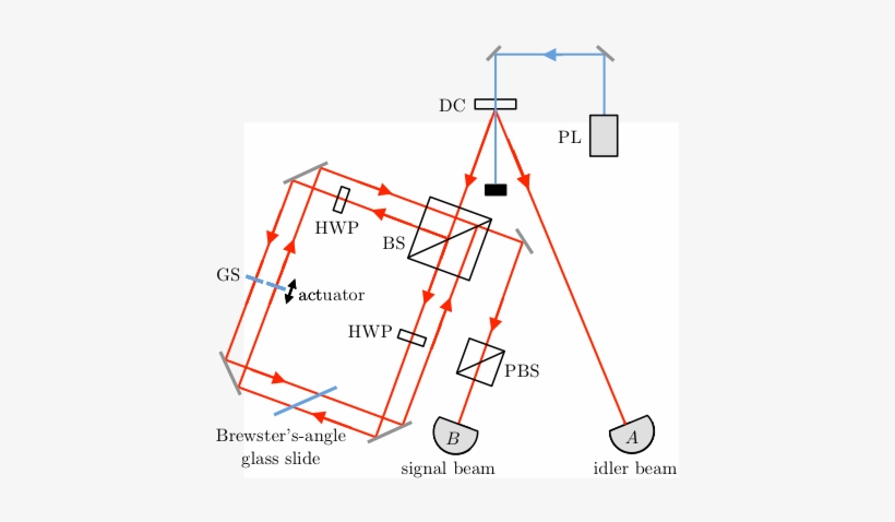 Smile From The Cheshire Cat - Diagram, transparent png #1692157