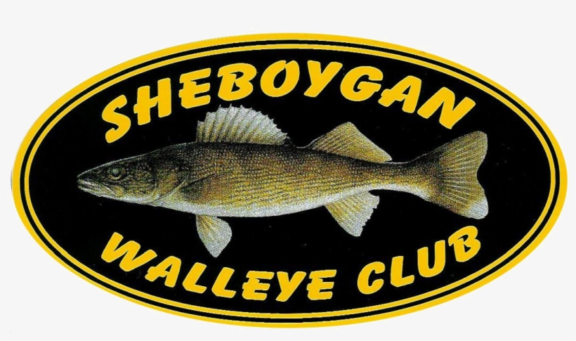 Sheboygan Walleye Club Rules - Sea Bass, transparent png #1692219