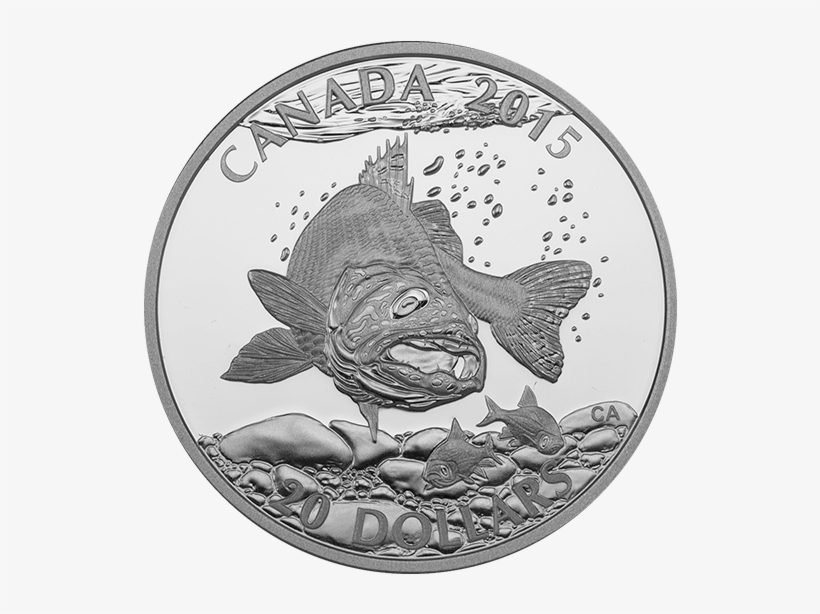 Fine Silver Coin - Silver, transparent png #1692309