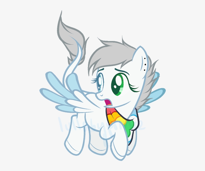 Photo - Photograph, transparent png #1692531