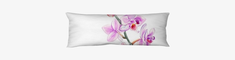 Orchid Flowers Watercolor Hand Drawn Botanical Illustration - Cushion, transparent png #1692553