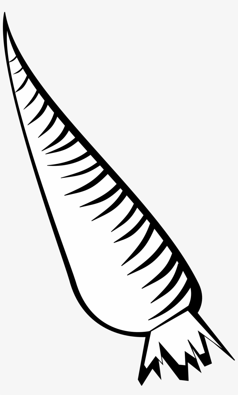 Carrot Clipart Line Drawing - Carrot Clipart Black And White, transparent png #1692829