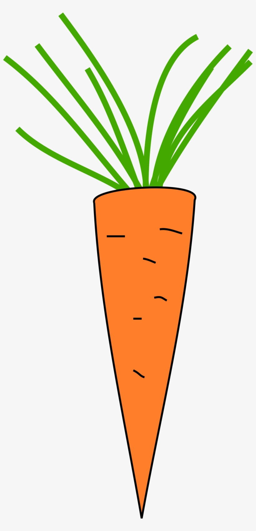 Free Download Copyright Free Carrot Clipart Carrot - Copyright Free Clipart Carrot, transparent png #1693108