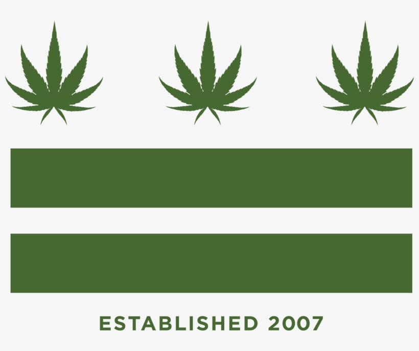 Washington Dc's Original Headshop - Cannabis, transparent png #1693510
