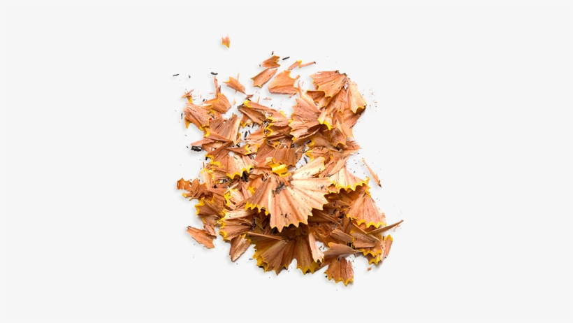 Jelly Belly The Most Disgusting Bean Boozled Jelly - Pencil, transparent png #1694514