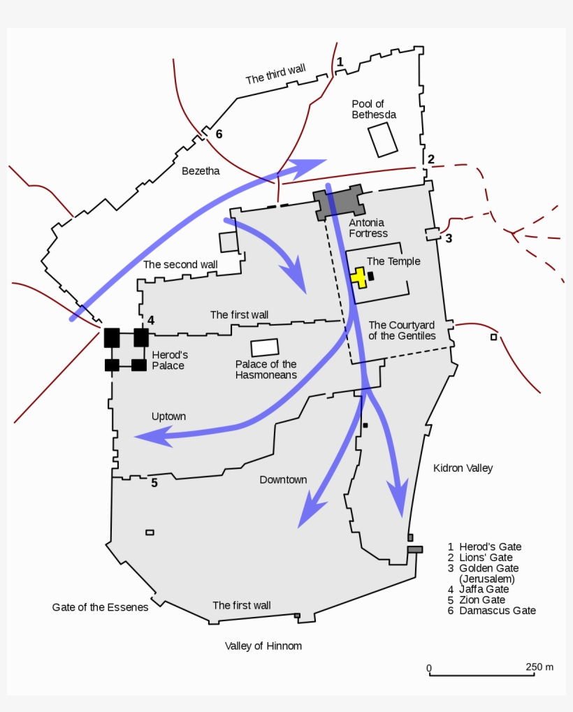 Products - Coffee Cup, transparent png #1695022