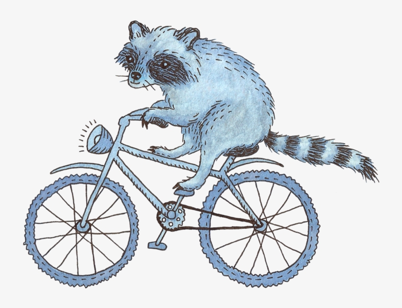 Raccoon On A Bicycle By Madeleizoo On Deviantart Jpg - Animal On Bike Png, transparent png #1695769