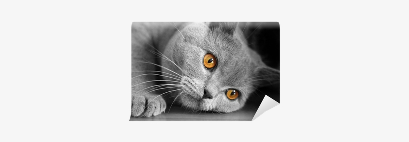 Painting, transparent png #1697592