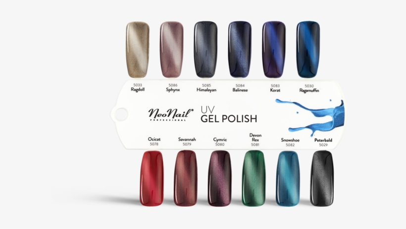 Uv Gel Polish Colour Chart - Lakiery Hybrydowe Neonail Kolory, transparent png #1697690