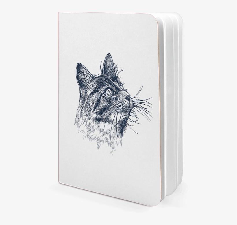 Dailyobjects Cat Eye A6 Notebook Plain Buy Online In - Sketch, transparent png #1697813