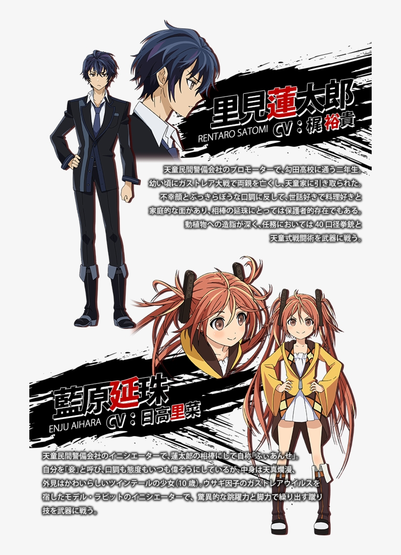 An Error Occurred - Black Bullet Enju Aihara Dress Cosplay Costume, transparent png #1699223