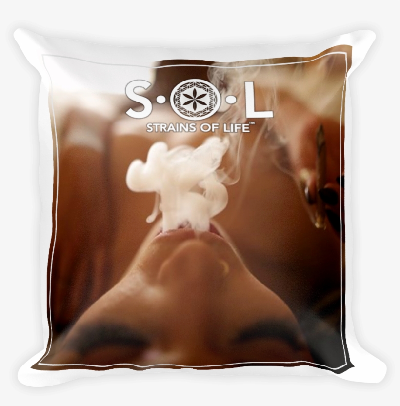 'satisfy Your S - Pillow, transparent png #1699806
