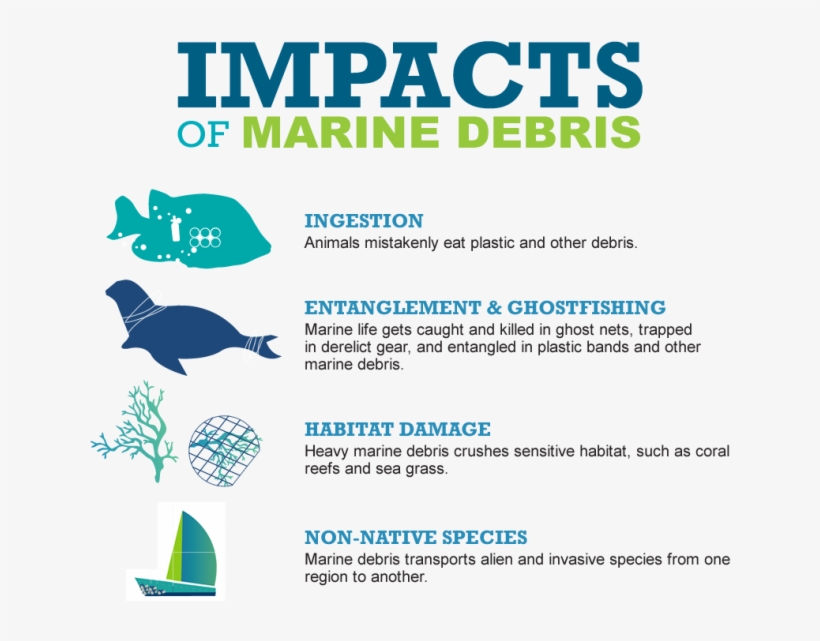 Impacts Of Marine Debris - Mps: Best Practices For Buyers And Sellers Tput Optimization, transparent png #170341