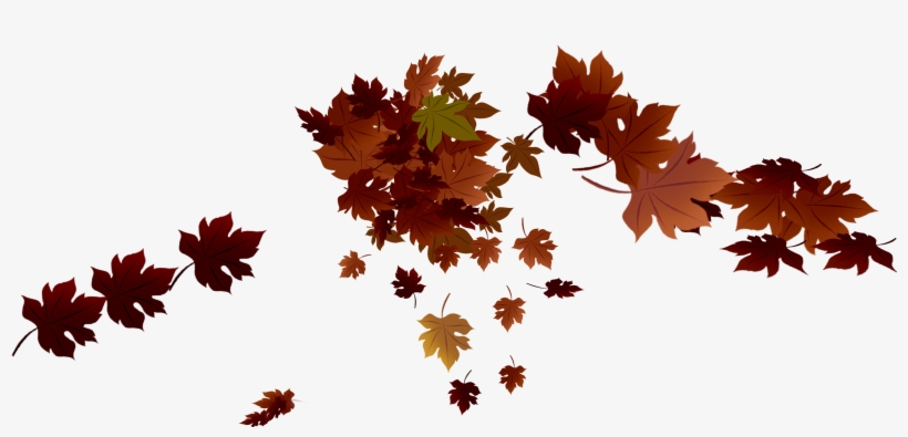 Leaves Png, transparent png #170671