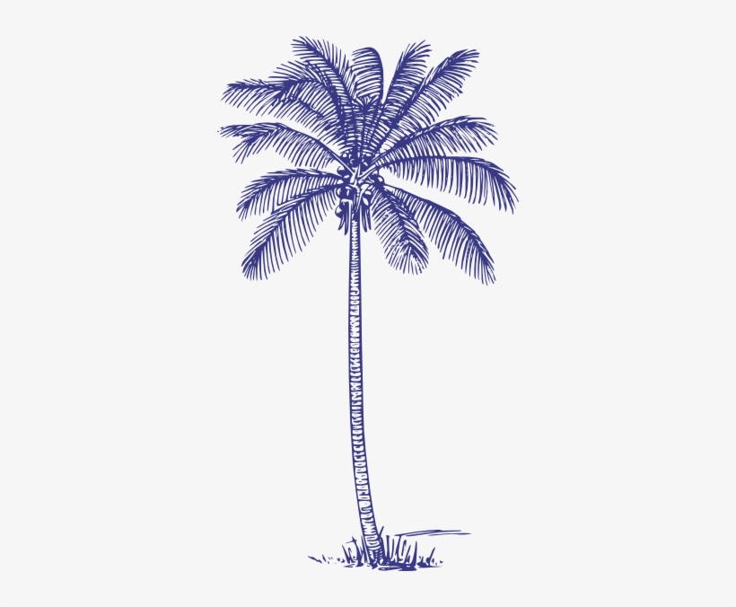 How To Set Use Dark Blue Palm Tree Svg Vector, transparent png #170720