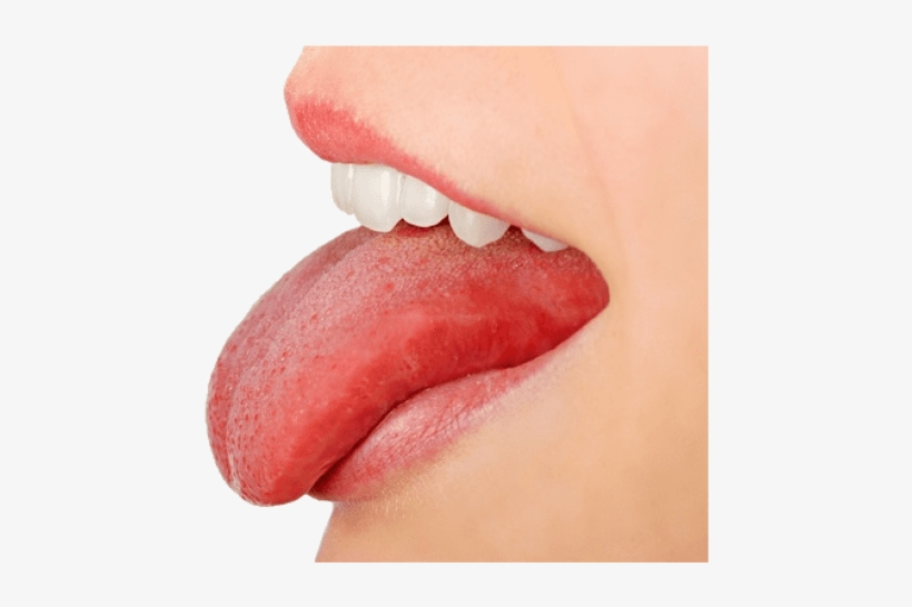 Free Png Tongue Png Images Transparent - Tongue Png, transparent png #170770