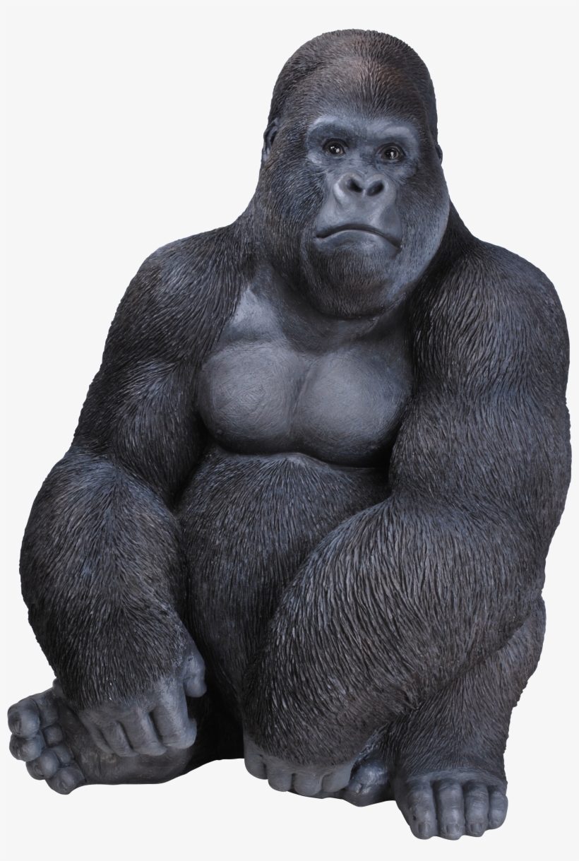 Rl Sitting Gorilla D - Vivid Art Gorilla, transparent png #171380