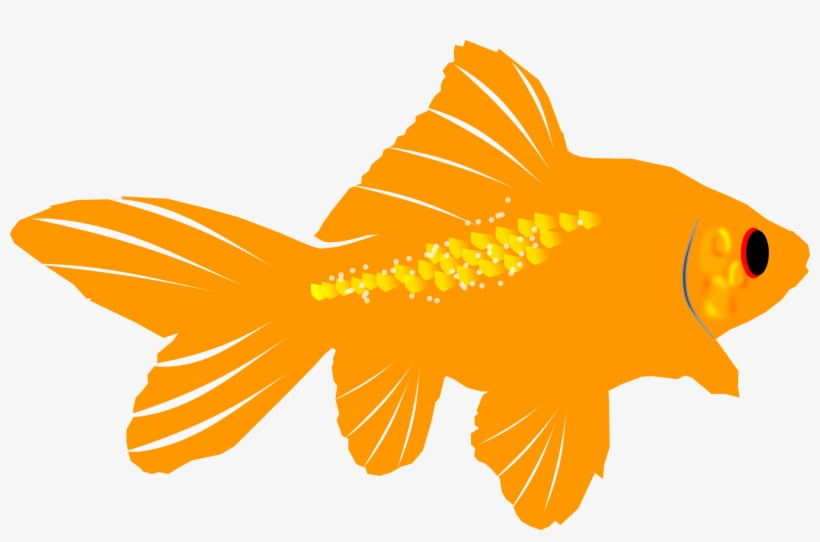 Clipart - Goldfish - Goldfish, transparent png #171464