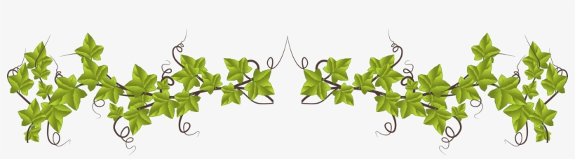 Leaf Grasses Plant Stem Plants Ecology - Silent Child To A Woman With A Voice, transparent png #171604
