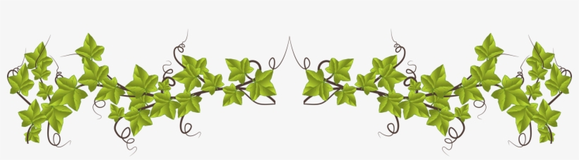 Leaf Grasses Plant Stem Plants Ecology - Silent Child To A Woman With A Voice, transparent png #171604