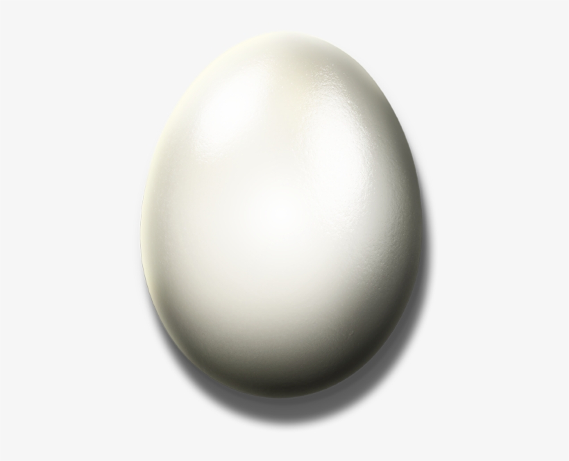 White Egg Png - Adobe Photoshop, transparent png #171695