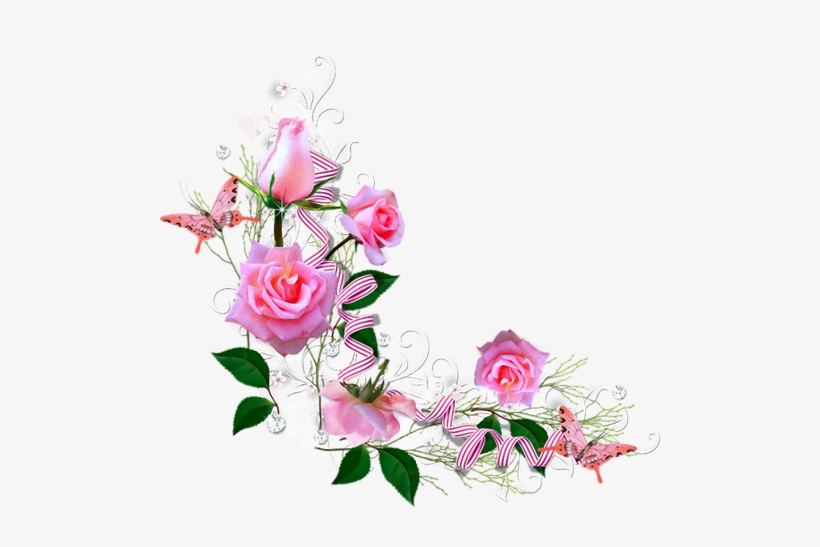 Svetlera Избранные Фотографии На Яндекс - Flower Portrait Png, transparent png #172081
