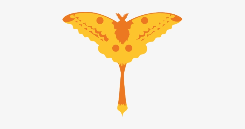 Krohn Butterfly Show - Television Show, transparent png #172151