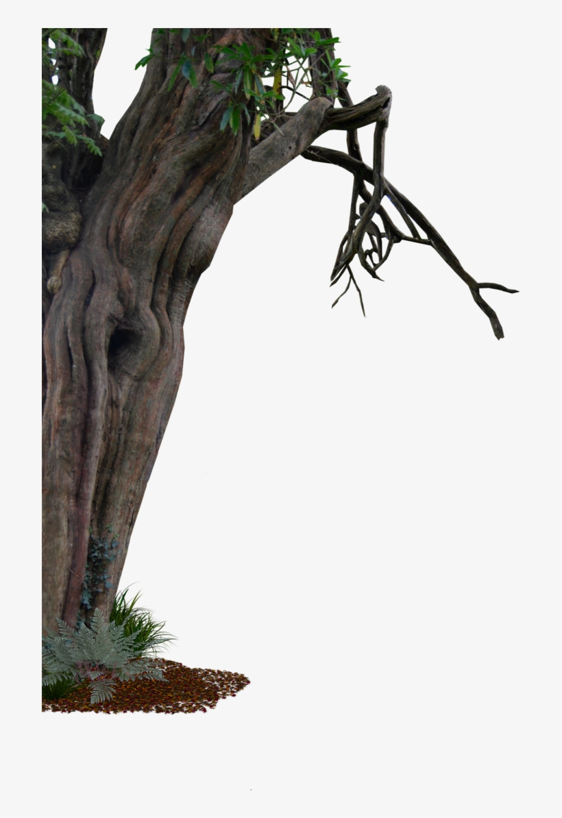 Haunted House Png Stock Library - Stem Of Tree Png, transparent png #172239