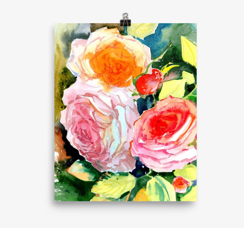 Bright And Floral Rose Watercolour Print Matte Poster - Watercolor Painting, transparent png #172573