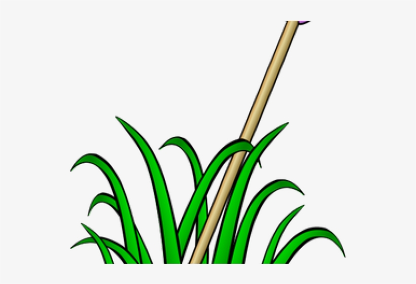 Grass Clip Art, transparent png #172623