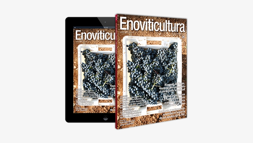 Enoviticultura - Gravel, transparent png #172952