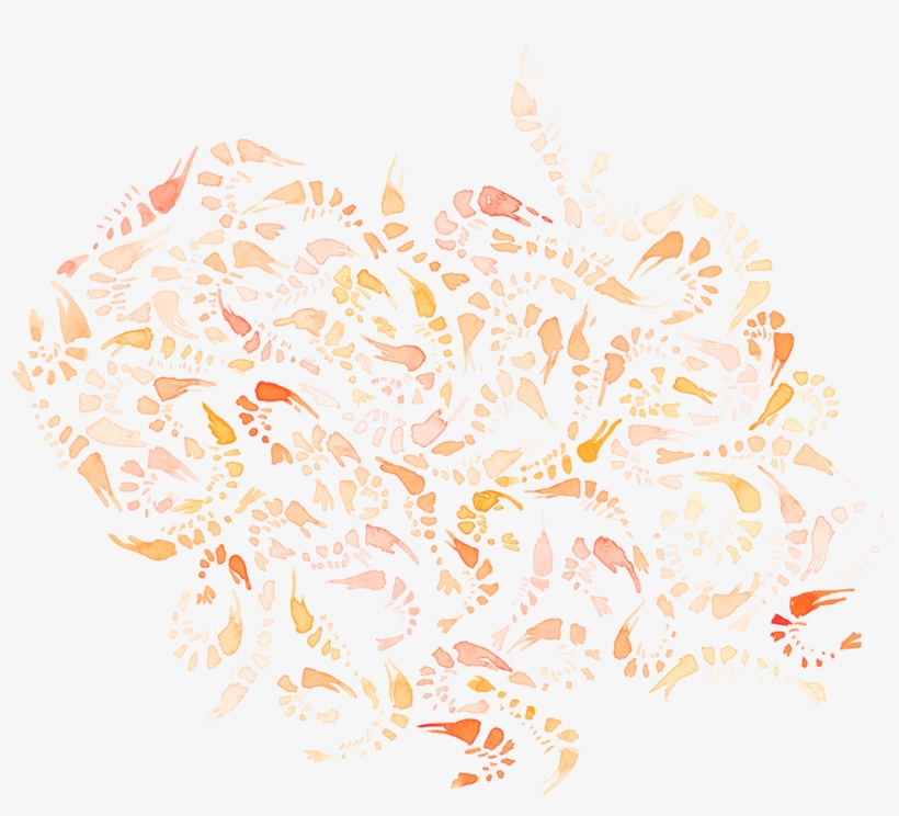 "shrimp\ - Illustration, transparent png #173126