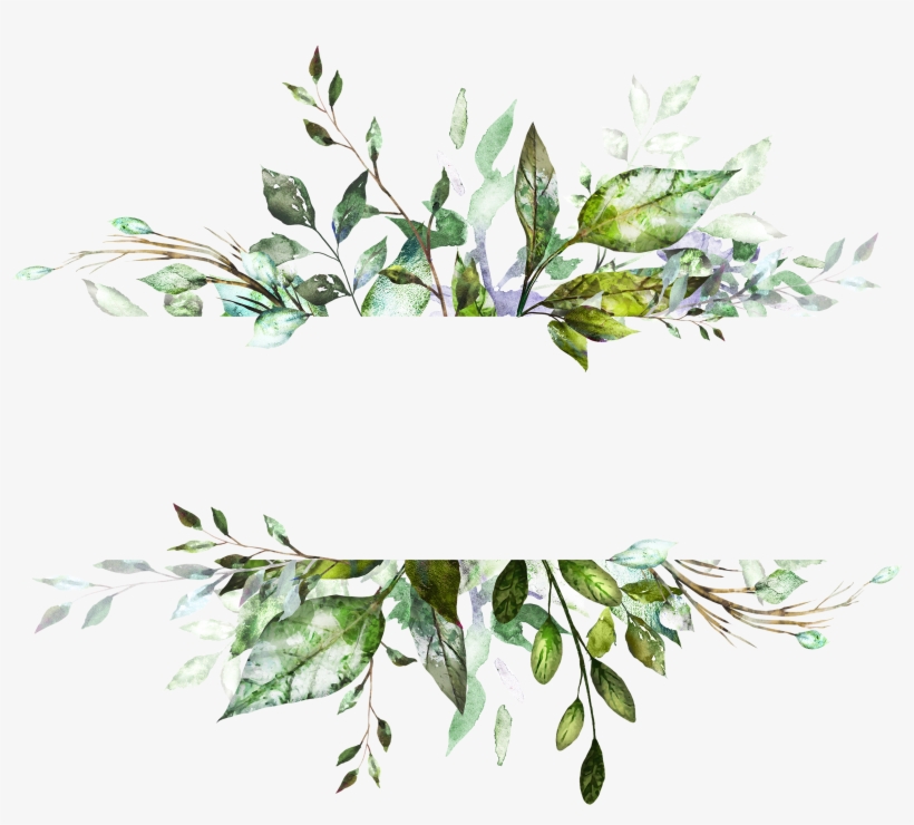 H804 Watercolor Invitations, Diy Invitations, Invitation - Botanic Frame, transparent png #173385