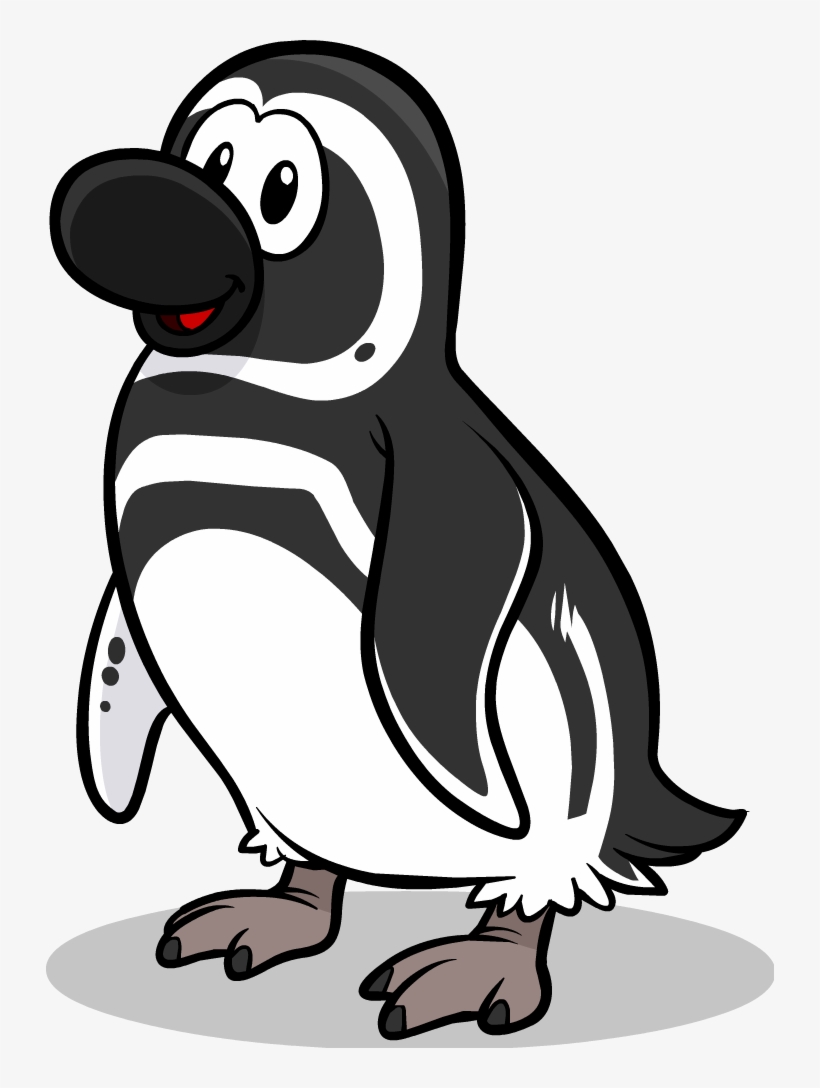 Magellanic Penguin - Club Penguin Black Footed Penguin, transparent png #173445